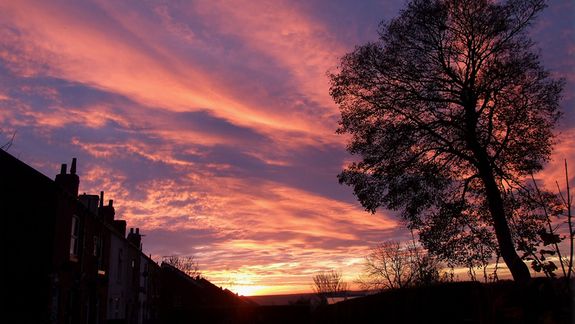 A glowing sunrise.